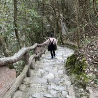 評論圖片 6