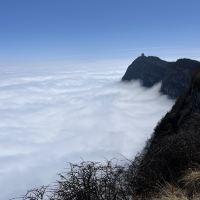 評論圖片 2