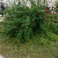 評論圖片 6