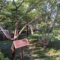 評論圖片 8