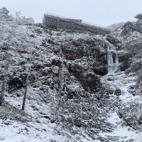 評論圖片 4