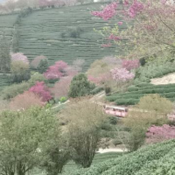 評論圖片 3