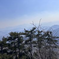 評論圖片 6