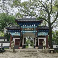評論圖片 1