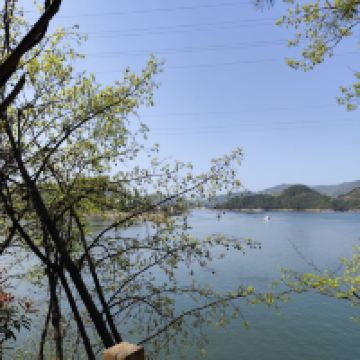 評論圖片 3