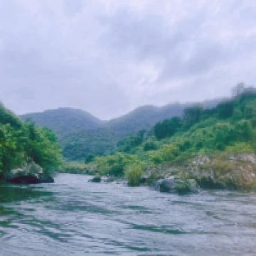 評論圖片 4