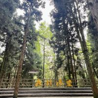 評論圖片 5