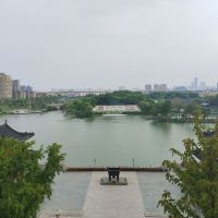 評論圖片 5