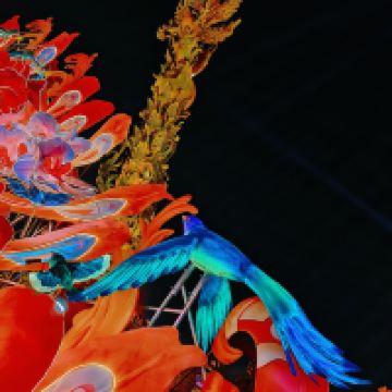 評論圖片 9