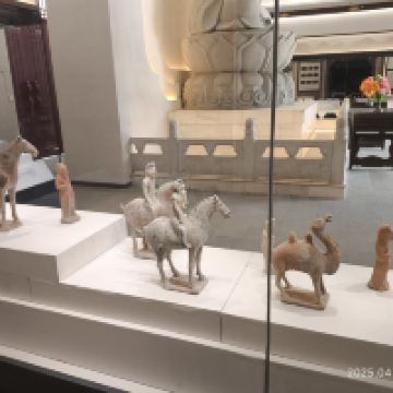 評論圖片 5