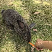 評論圖片 1