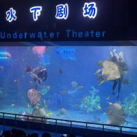 評論圖片 1