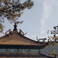 評論圖片 8