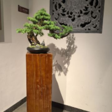 評論圖片 3