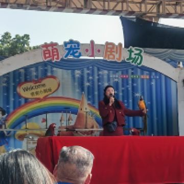 評論圖片 6