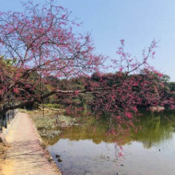 評論圖片 4