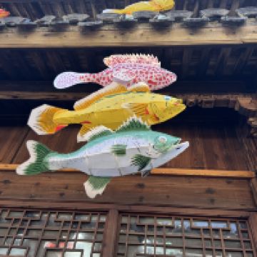 評論圖片 6