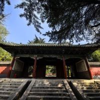評論圖片 2