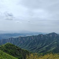評論圖片 1
