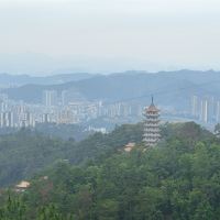 評論圖片 1