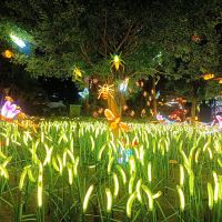 評論圖片 5