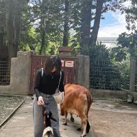 評論圖片 4