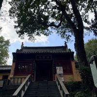 評論圖片 3