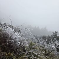 評論圖片 1