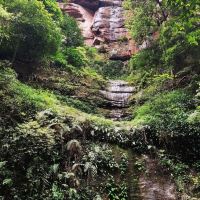 評論圖片 2