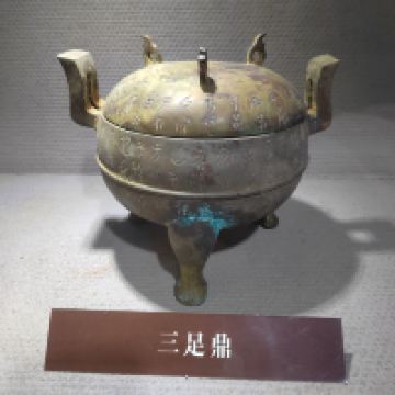 評論圖片 5
