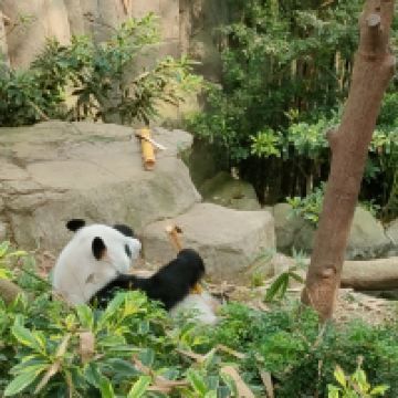 評論圖片 3