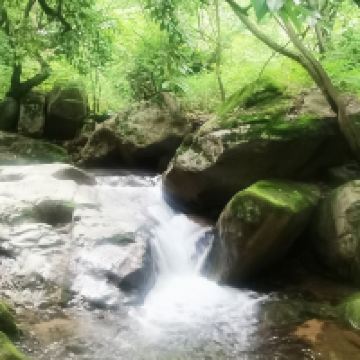評論圖片 5
