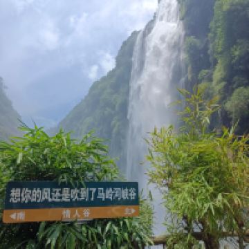 評論圖片 5