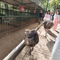 評論圖片 4