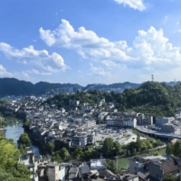 評論圖片 7