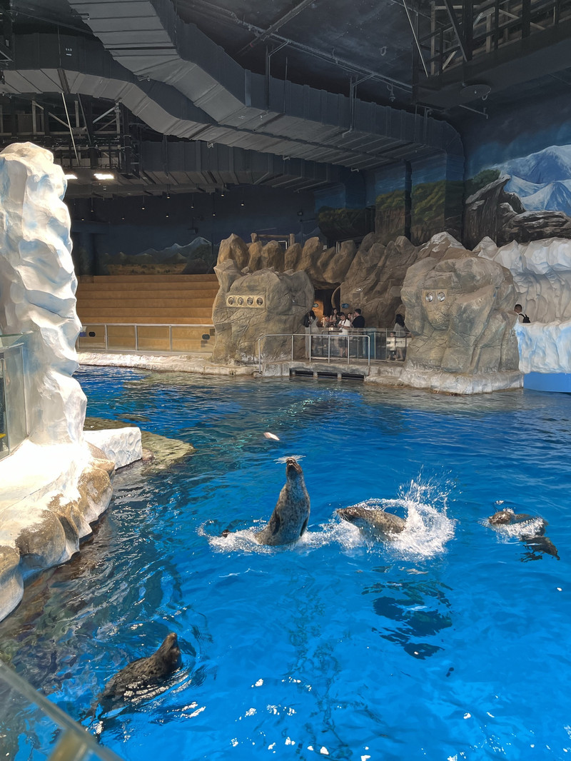 香港海洋公園用戶評價