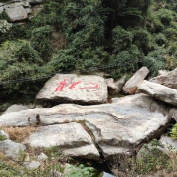 評論圖片 2