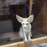 評論圖片 6