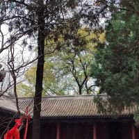 評論圖片 5