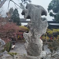 評論圖片 9