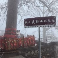 評論圖片 7