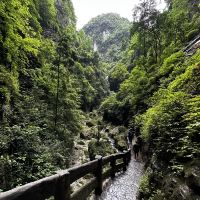 評論圖片 5