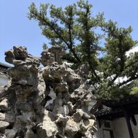 評論圖片 4