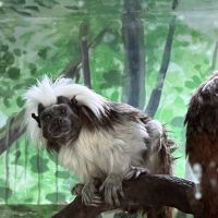 評論圖片 9