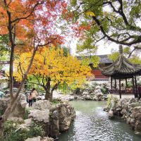 評論圖片 6