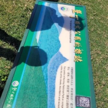評論圖片 3