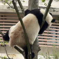 評論圖片 3