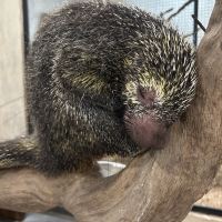 評論圖片 1