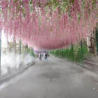 評論圖片 4
