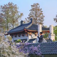 評論圖片 2